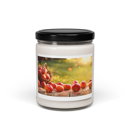 Scented Soy Candle, 9oz